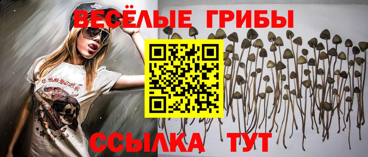 Галлюциногенные грибы Psilocybine cubensis  Вход с VPN  Острогожск  Псилоцибиновые грибы ЛСД 