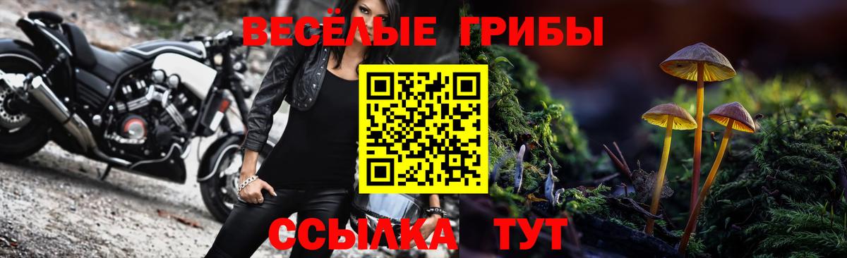 Галлюциногенные грибы Psilocybine cubensis Острогожск